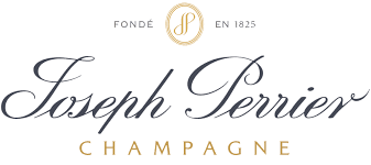 Coupe JOSEPH PERRIER / BALLE JAUNE