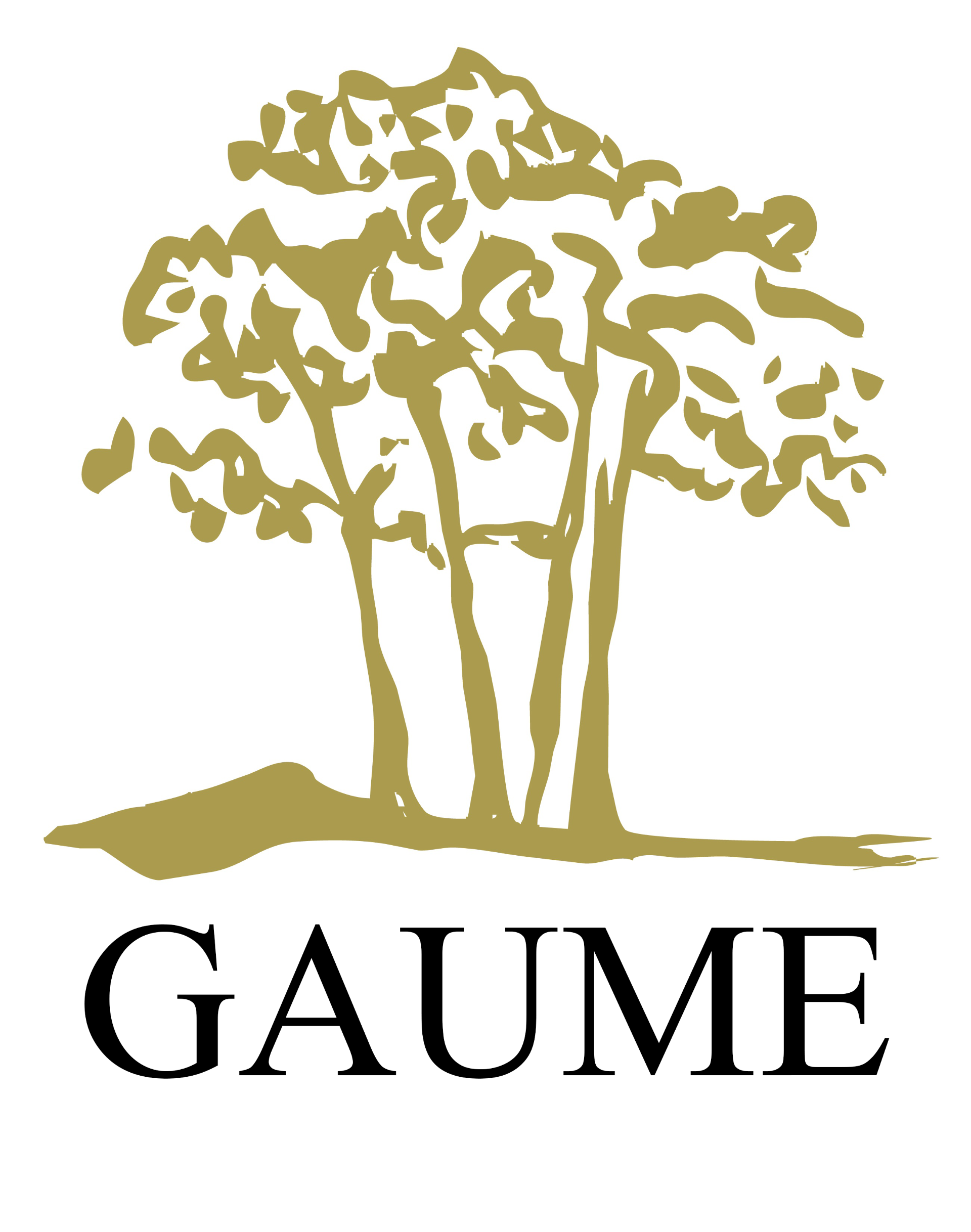Coupe du BASSIN / PRIX GAUME